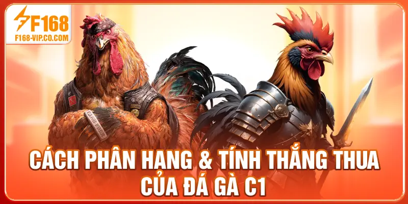 Cách phân hạng & tính thắng thua của đá gà C1