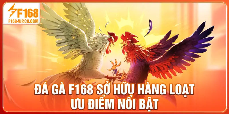 Đá gà F168 sở hữu hàng loạt ưu điểm nổi bật