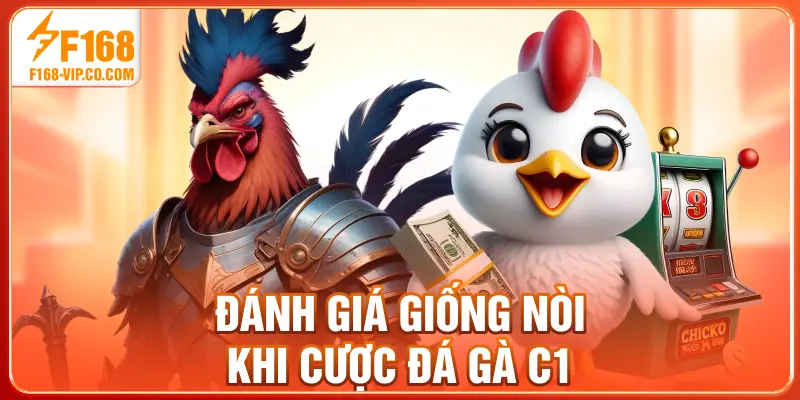 Đánh giá giống nòi khi cược đá gà C1