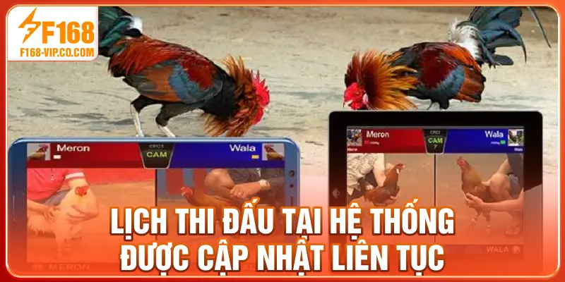 Lịch thi đấu tại hệ thống được cập nhật liên tục